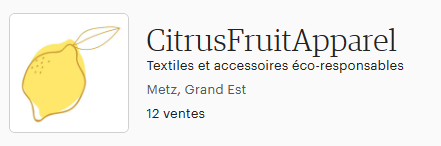 capture d'écran du titre d'un profil etsy pour montrer l'importance de ces 55 caractères pour le référencement sur etsy