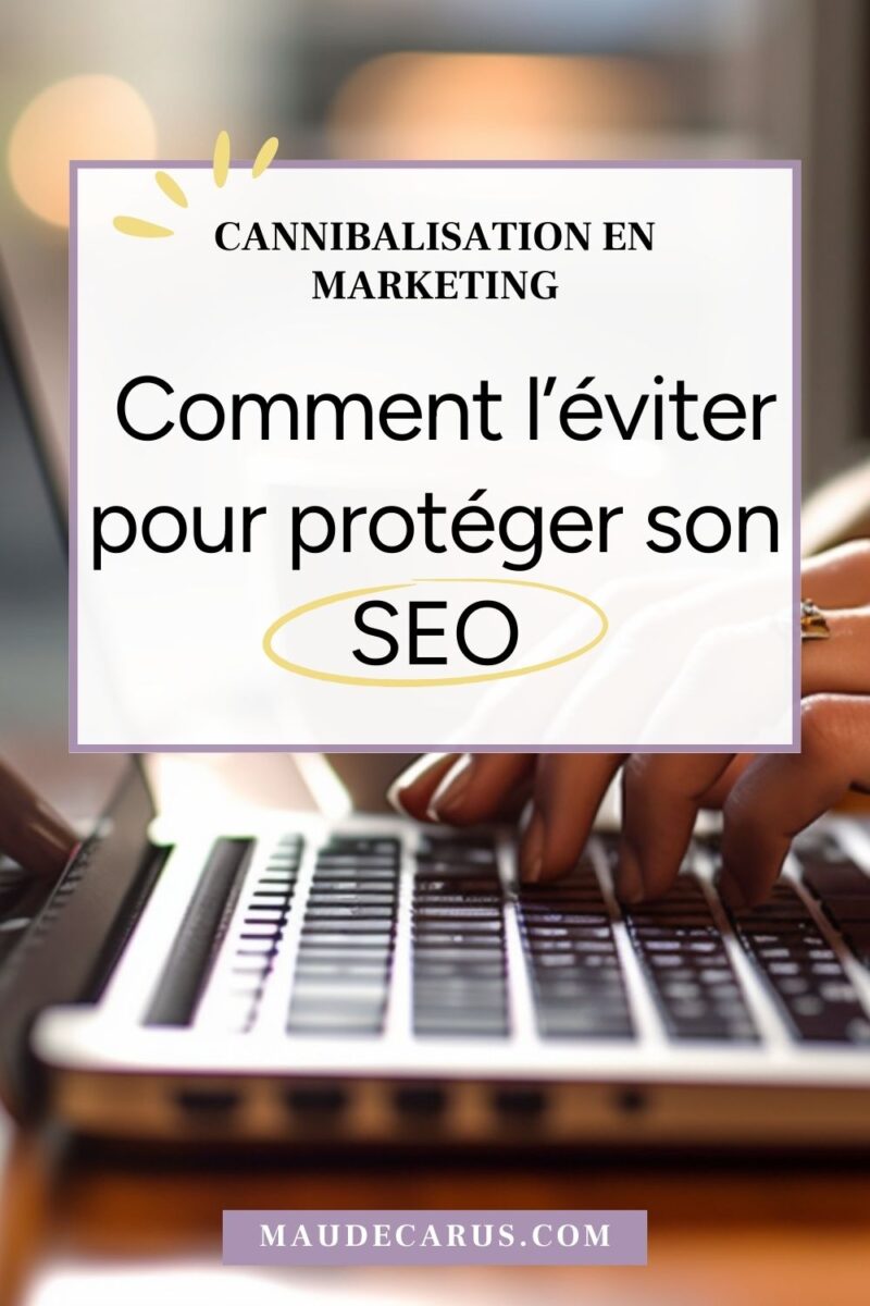 cannibalisation en marketing et seo