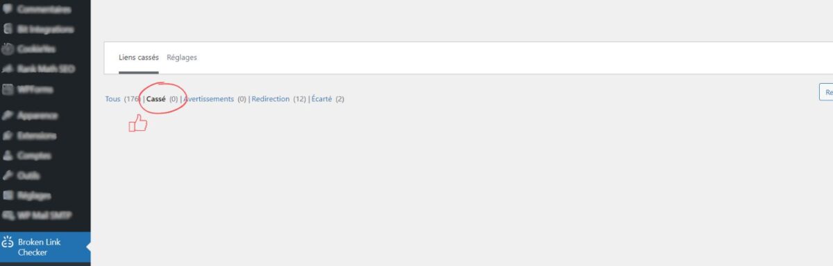 Capture d'écran de liens internes cassés avec le plugin WordPress Broken Link Checker